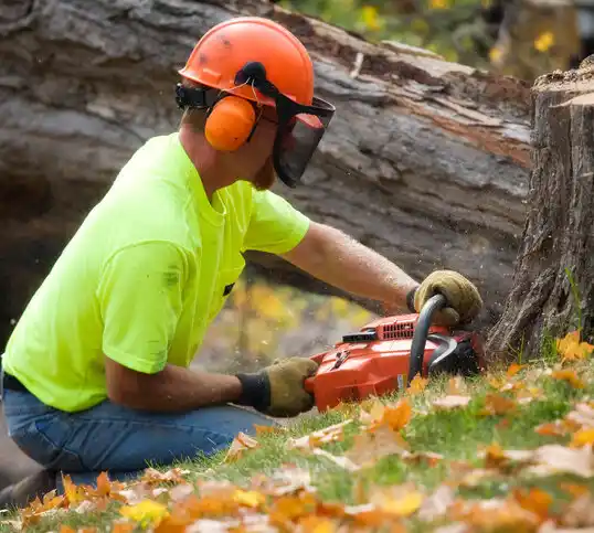 tree services Rushville